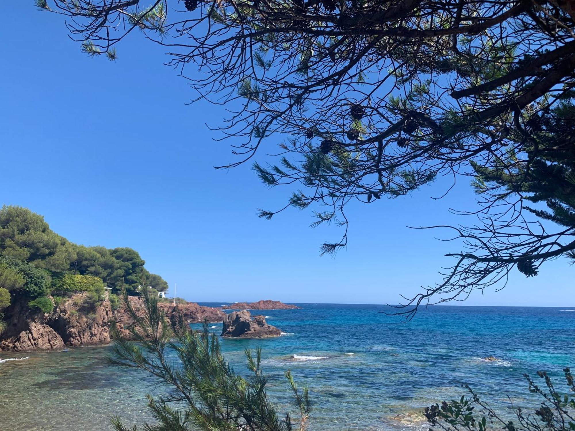 Studio Climatise Avec Piscine Saint-Raphaël Kültér fotó